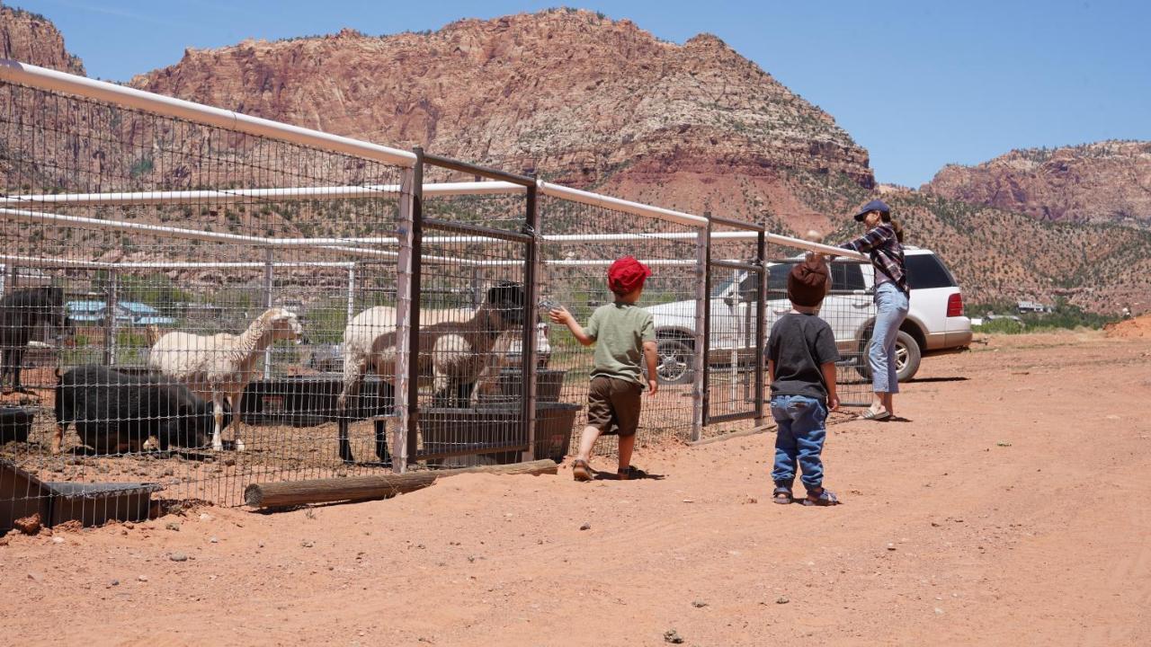 Zion View Camping Hildale Exteriör bild
